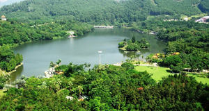  Shenzhen Botanical Garden